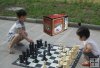 Garden Chess Set, King Size 20 cm